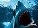 animals_02.jpg