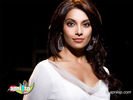 bipasha_23.jpg