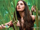 nargis_05.jpg