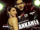 ankahee_03.jpg
