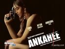 ankahee_04.jpg