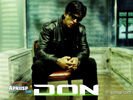 don_01.jpg