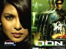 don_07.jpg
