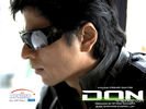 don_11.jpg