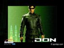 don_14.jpg