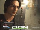 don_15.jpg