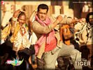 ekthatiger_01.jpg