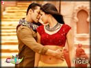 ekthatiger_03.jpg