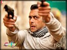ekthatiger_04.jpg