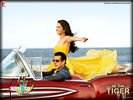ekthatiger_11.jpg