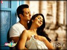 ekthatiger_12.jpg