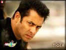 ekthatiger_14.jpg