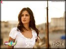 ekthatiger_15.jpg