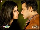 ekthatiger_16.jpg