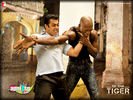 ekthatiger_20.jpg