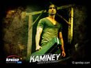kaminey_01.jpg