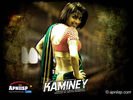 kaminey_07.jpg