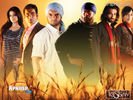 kissan_02.jpg