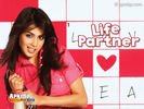 lifepartner_04.jpg