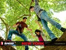 newyork_09.jpg