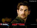 newyork_19.jpg