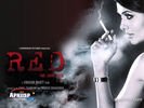 red_05.jpg