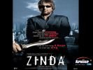 zinda_08.jpg